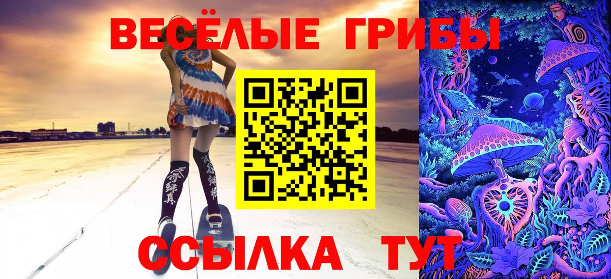 Псилоцибиновые грибы прущие грибы Нерюнгри