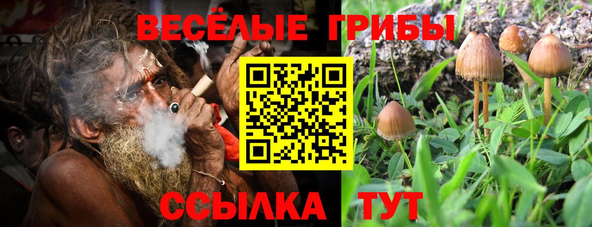 Нерюнгри  Псилоцибиновые грибы GOLDEN TEACHER  наркотики  Вход с VPN 